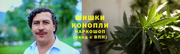 стаф Волоколамск