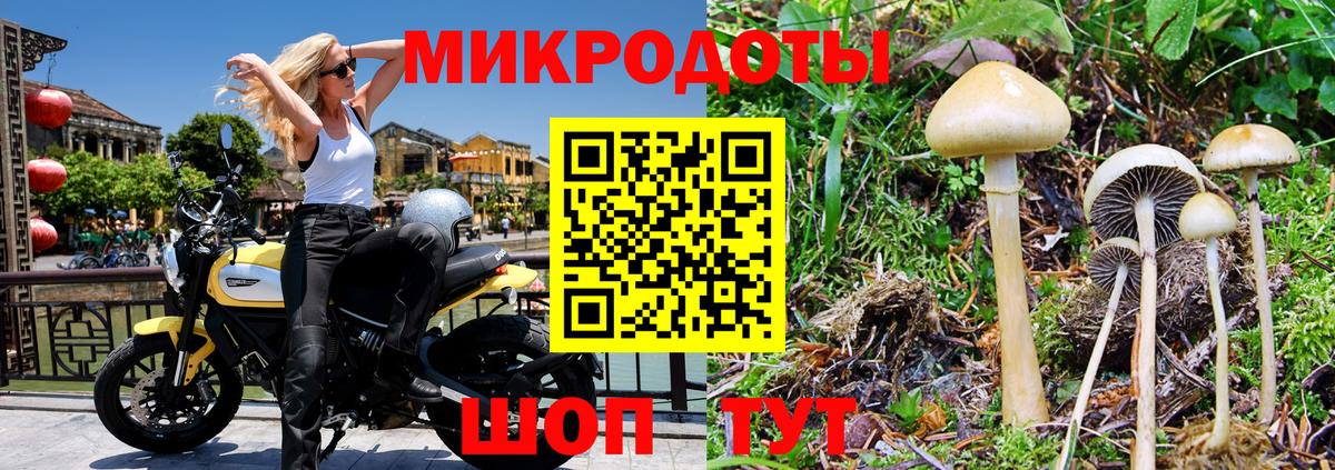 Псилоцибиновые грибы GOLDEN TEACHER  купить наркотик  Рузаевка  Вход с VPN 