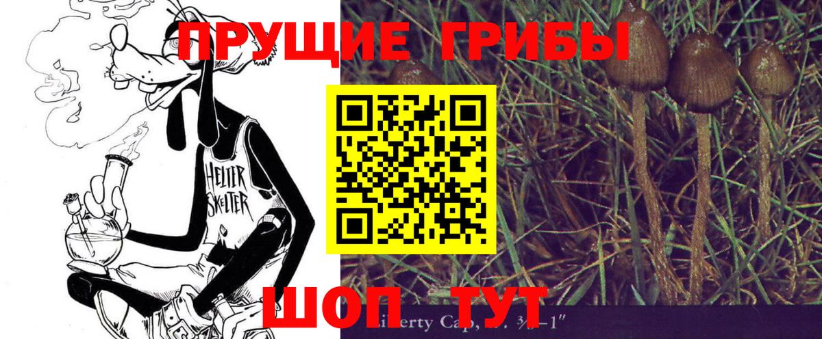 Псилоцибиновые грибы мухоморы Рузаевка