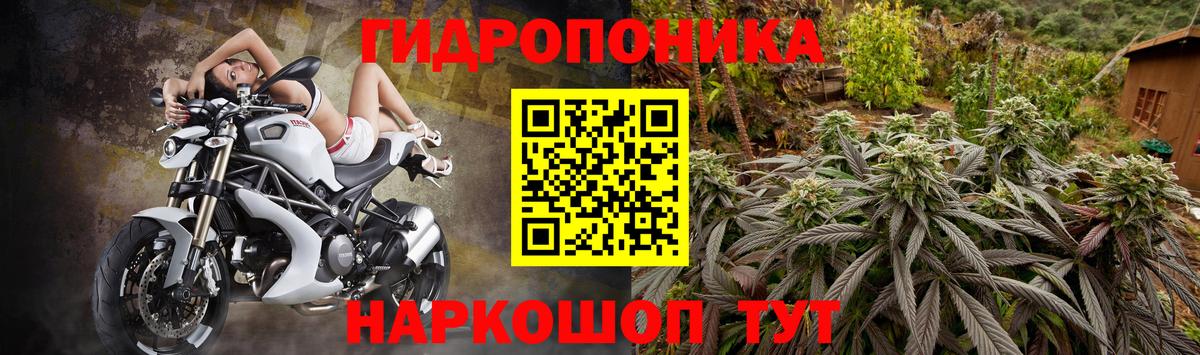 Бошки Шишки гибрид Рузаевка